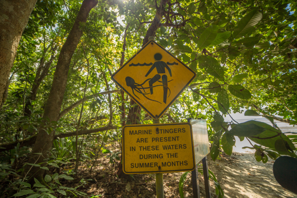 Stinger warning sign in Cairns