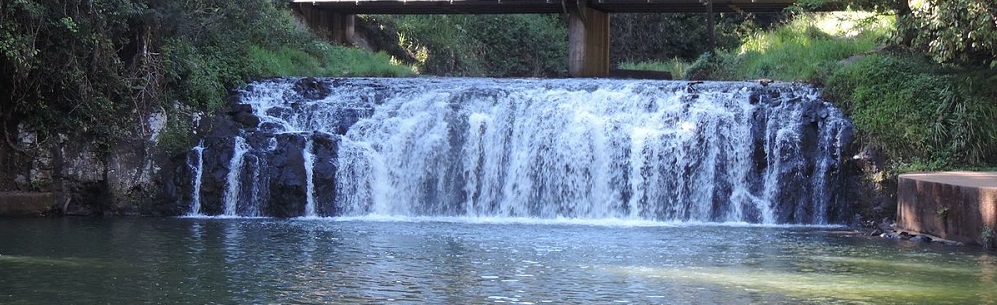 The Historic and Cultural Malanda Falls Conservation Park