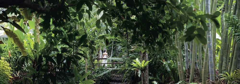 The Flora & Fauna of the Cairns Botanical Gardens