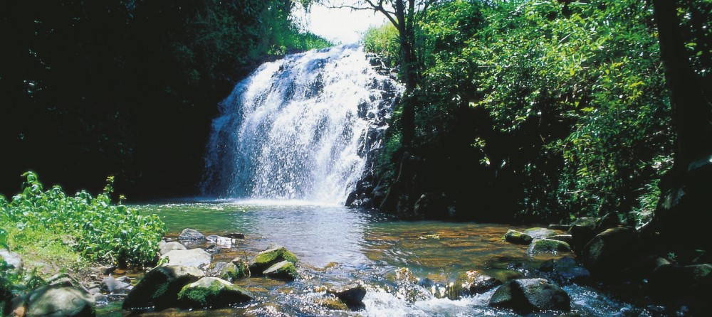 Where Should You Swim in the Atherton Tablelands?