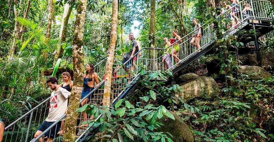 atherton tablelands rainforest walk