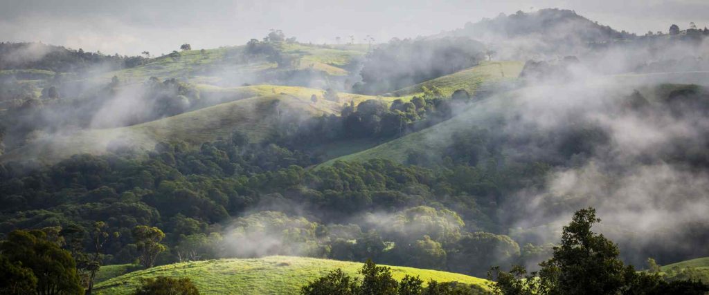 2 Day Atherton Tablelands Tour $189