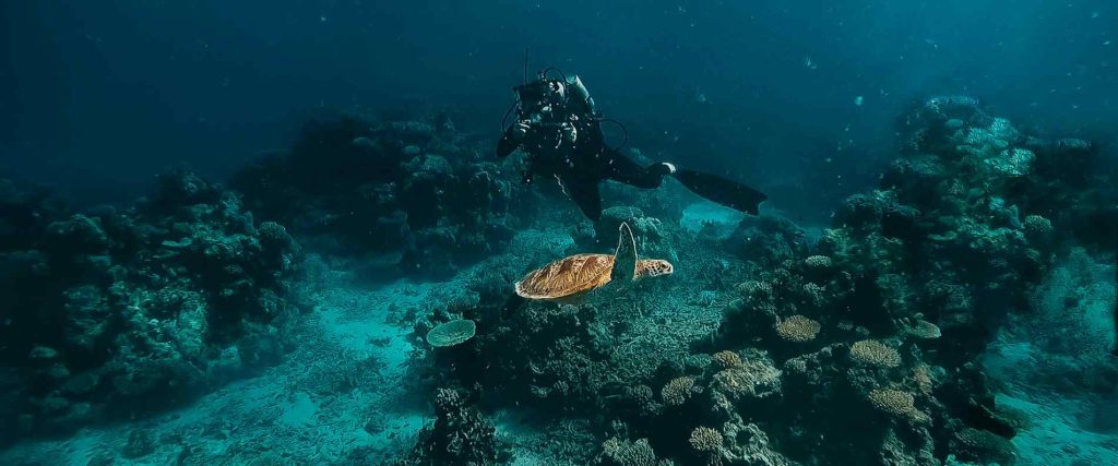 Cairns Reef & Island Tour $255
