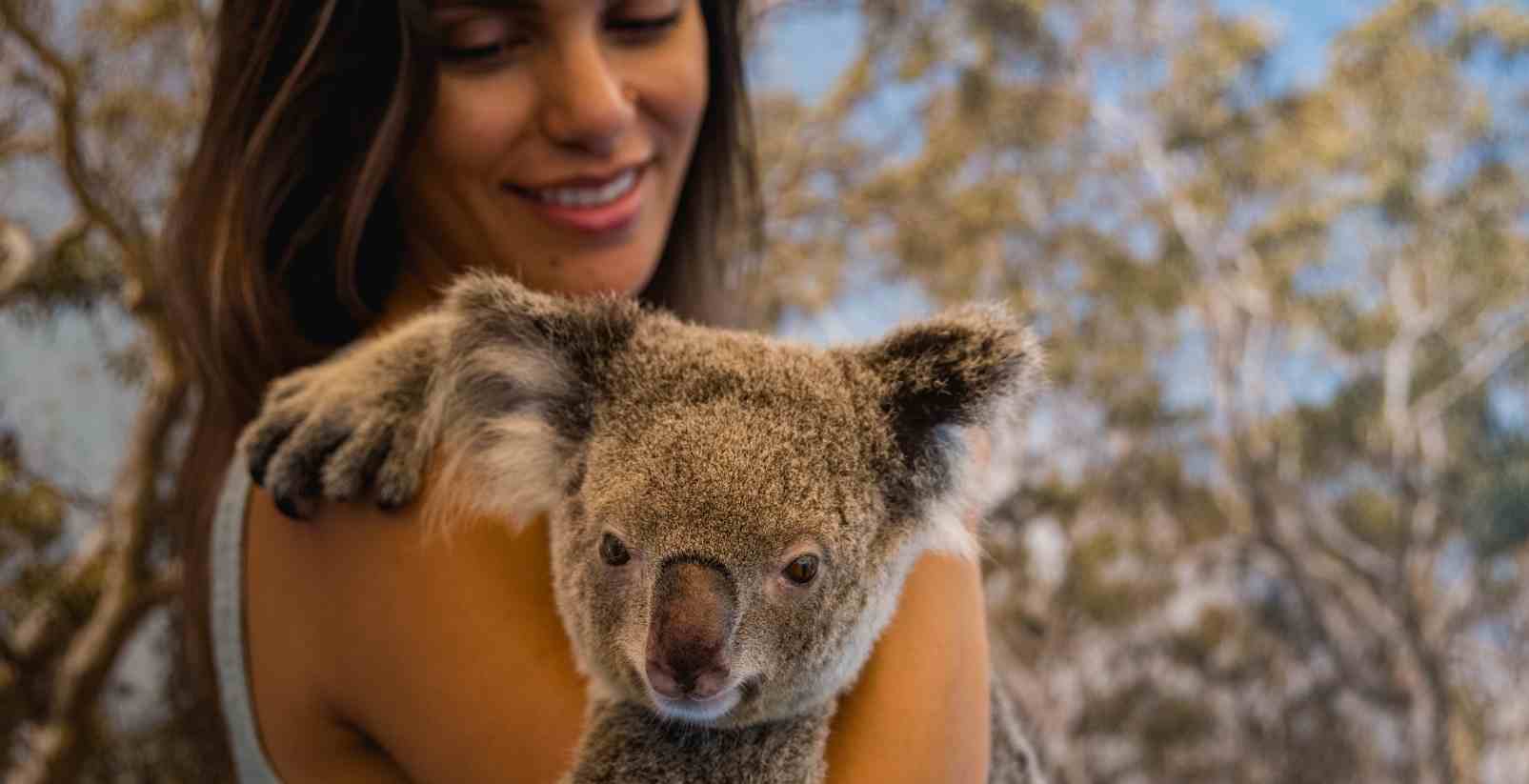 woman holding koala
