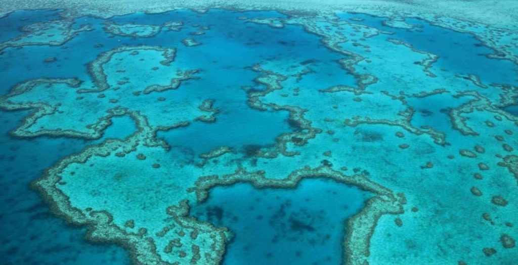 aerial shot of the great barrier reef