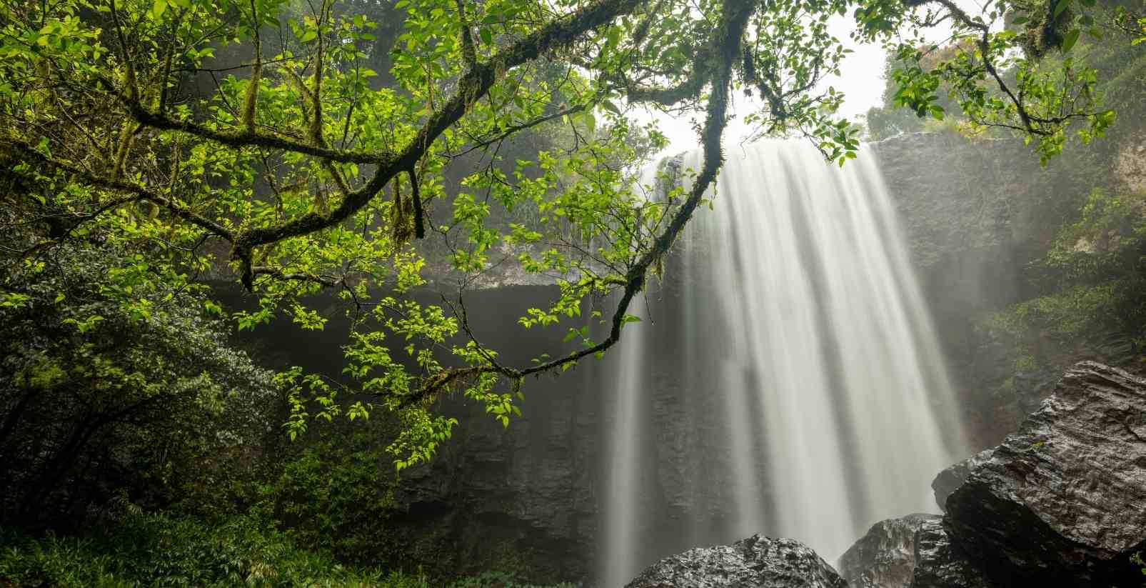 waterfall in forest