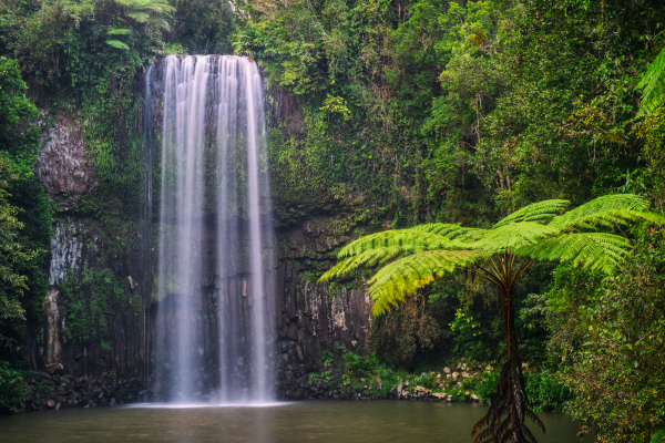 Atherton Tablelands
