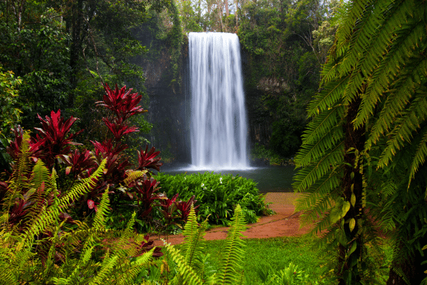 Milla Milla Falls in Atherton Tablelands