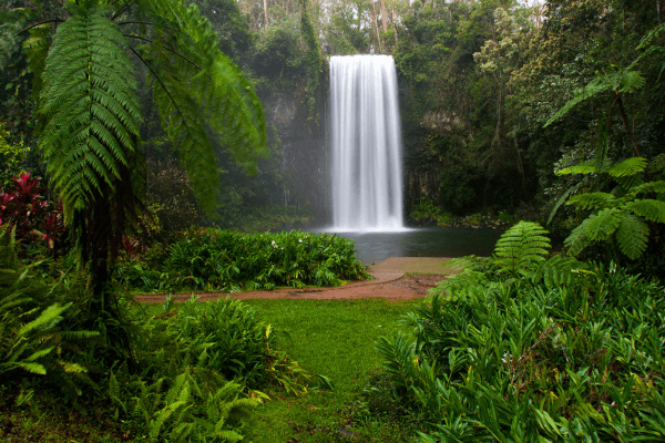 Millaa Millaa Falls