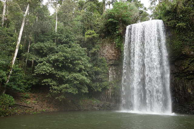 Millaa Millaa Falls