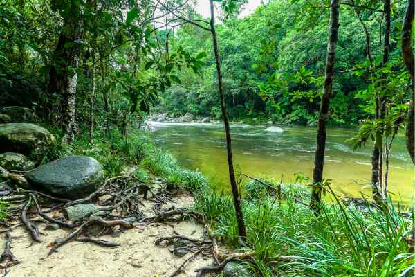 Waterhole in the Daintree Rainforest