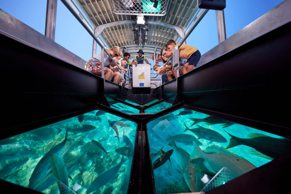 Glass bottom boat in Green Island
